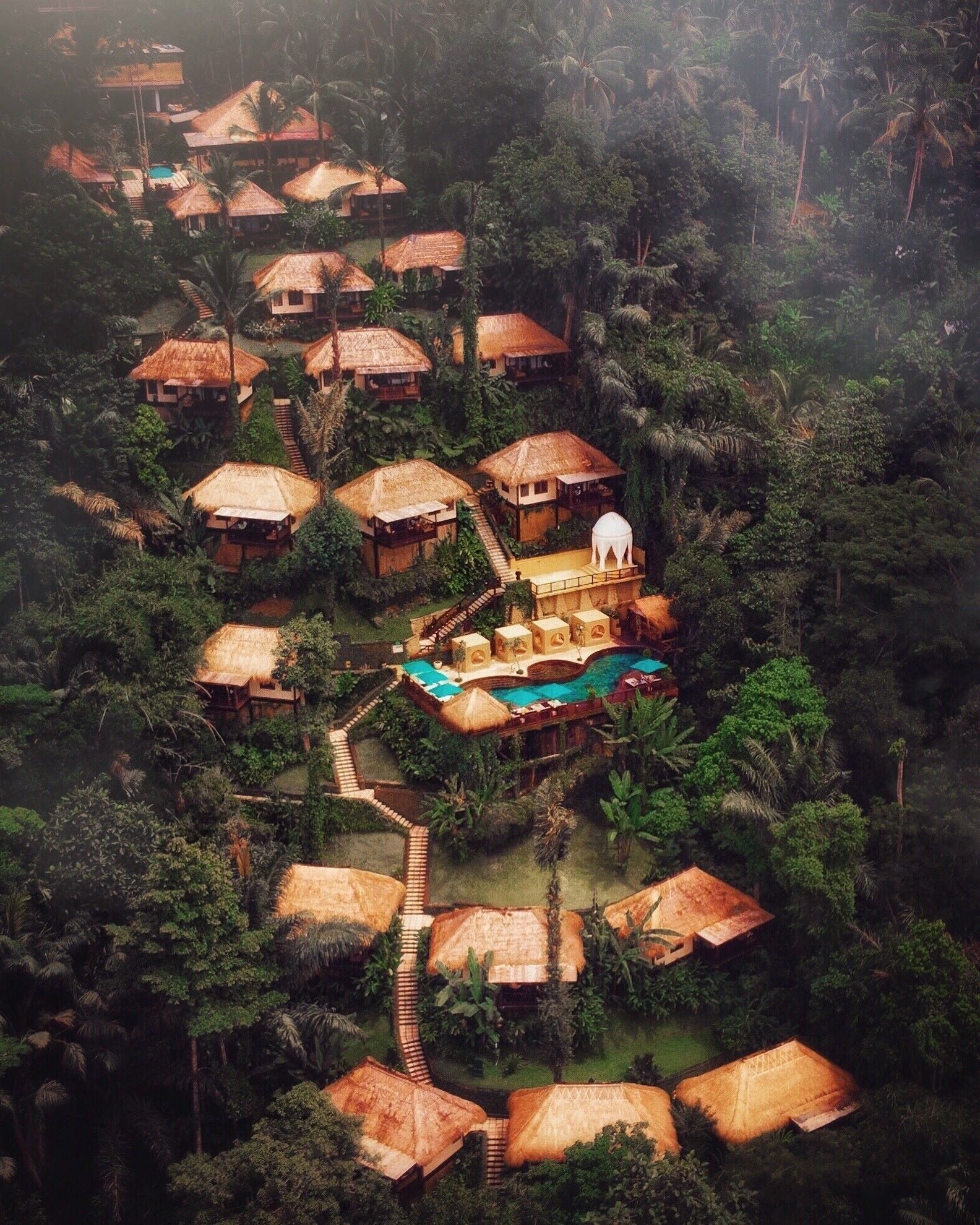 Nandini Jungle by Hanging Gardens
