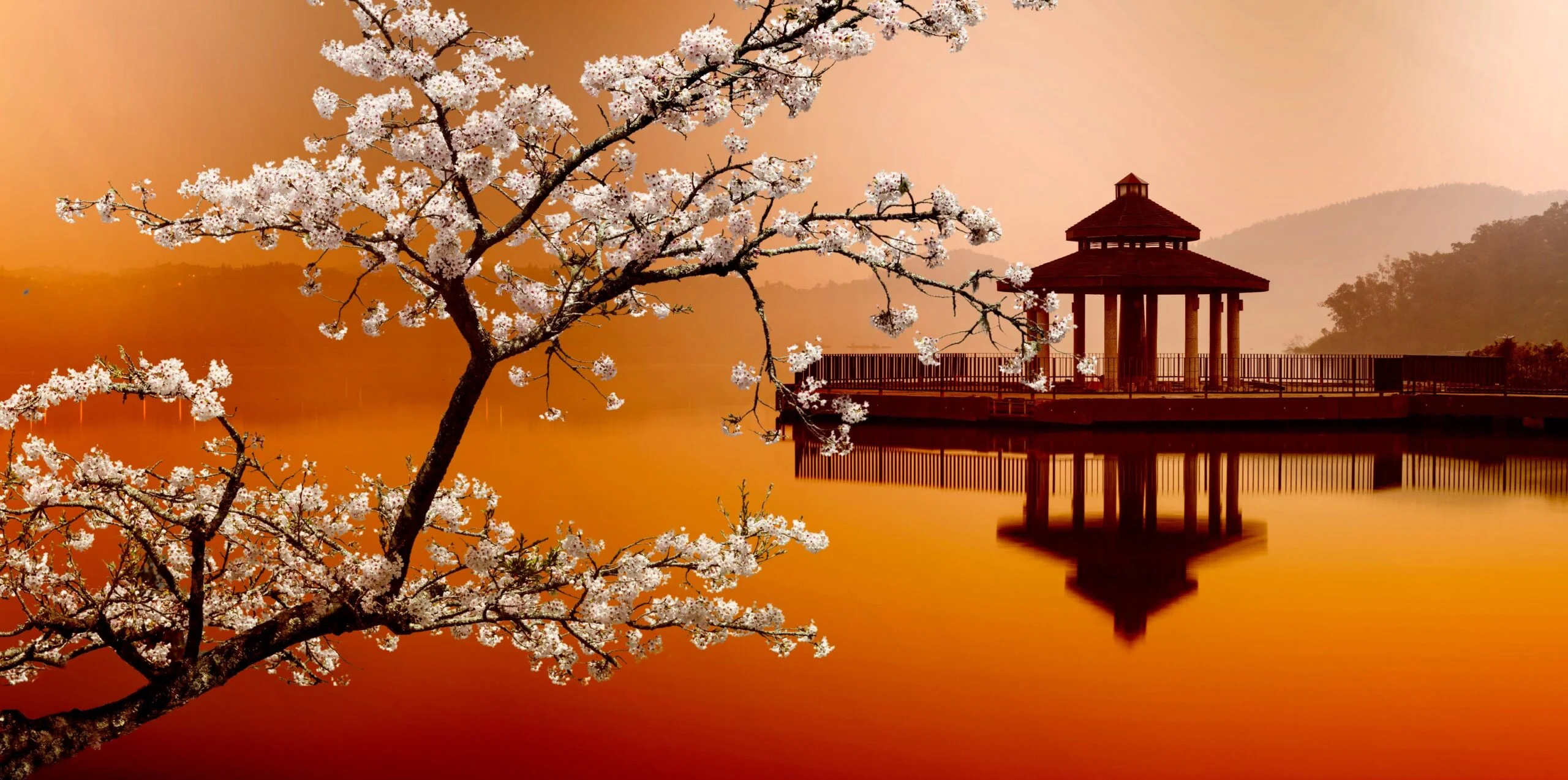 Taiwan Holiday